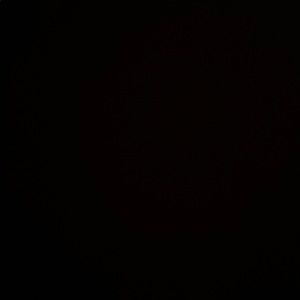 Meet your Posher, Alexia